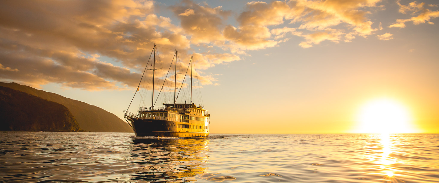 scenic river cruises new zealand