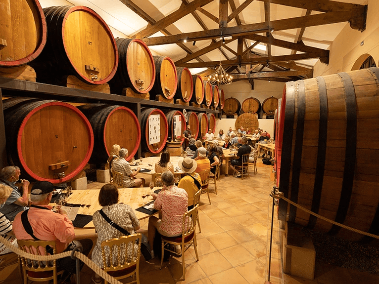 Guests sitting for a wine tasting next to large barrels at Chateauneuf de Pape, France