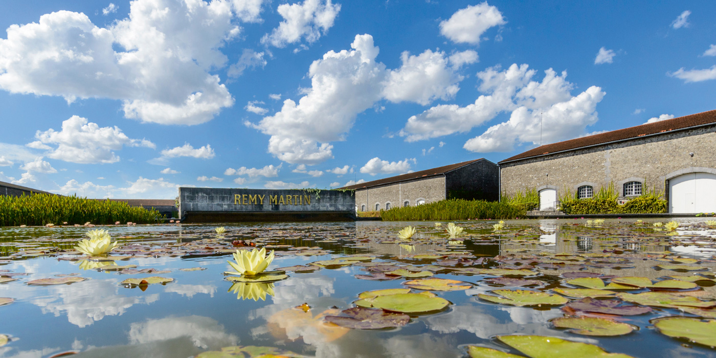 Remy Martin Property in Cognac