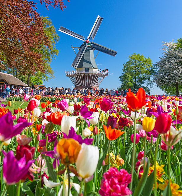 Keukenhof Gardens, The Netherlands