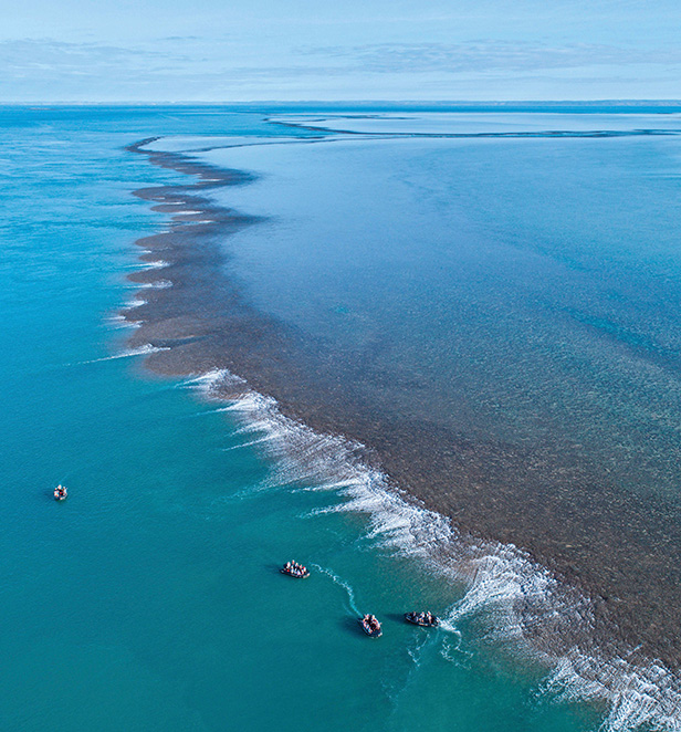 Montgomery Reef, The Kimberley, Western Australia