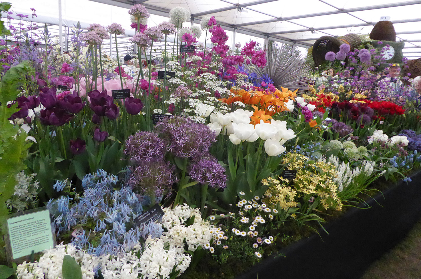 Chelsea Flower Show