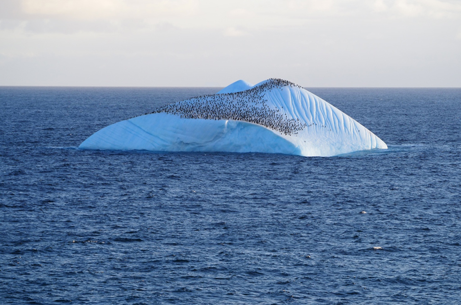 South Orkney Islands