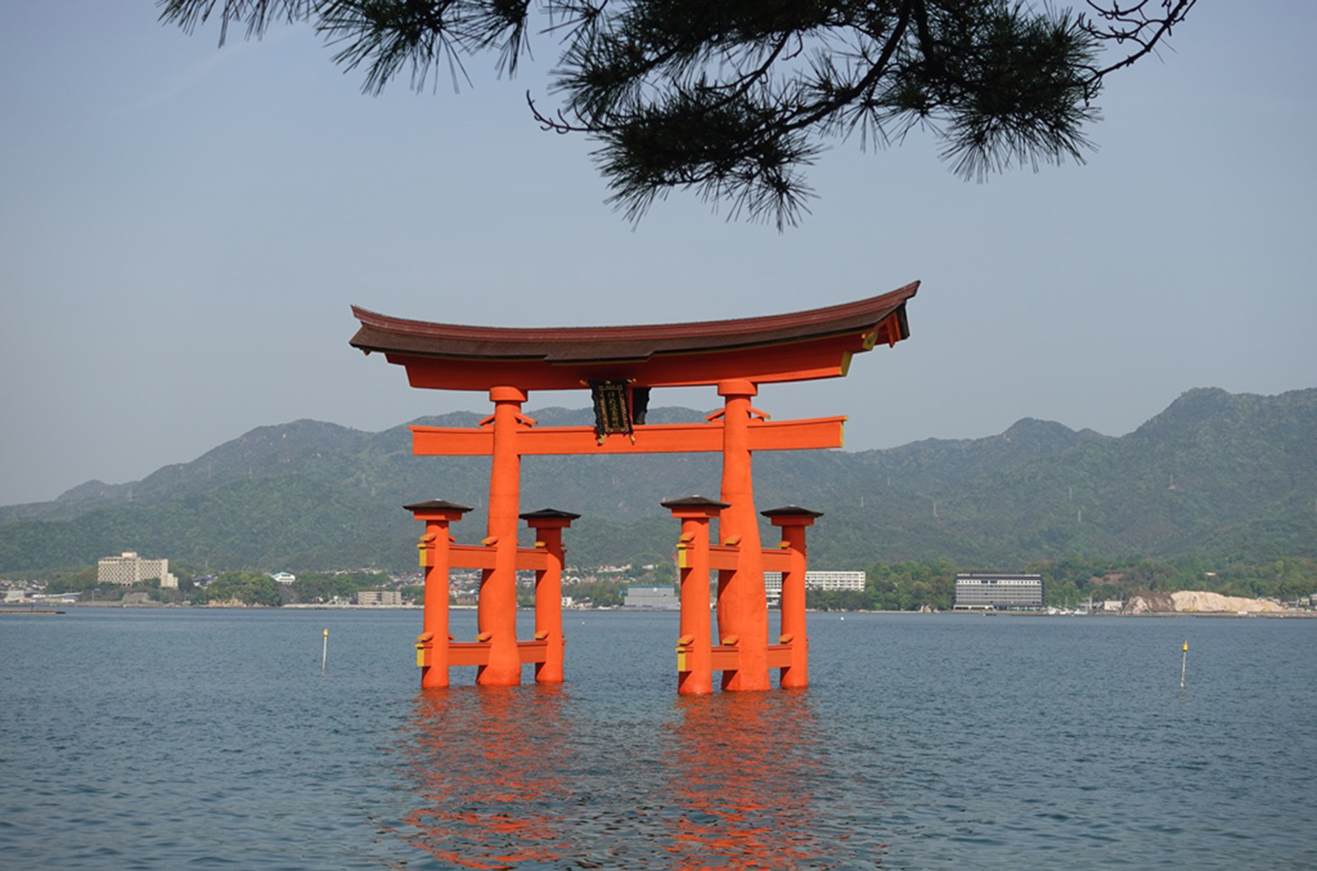 Mark & Rosa, Miyajima, Japan