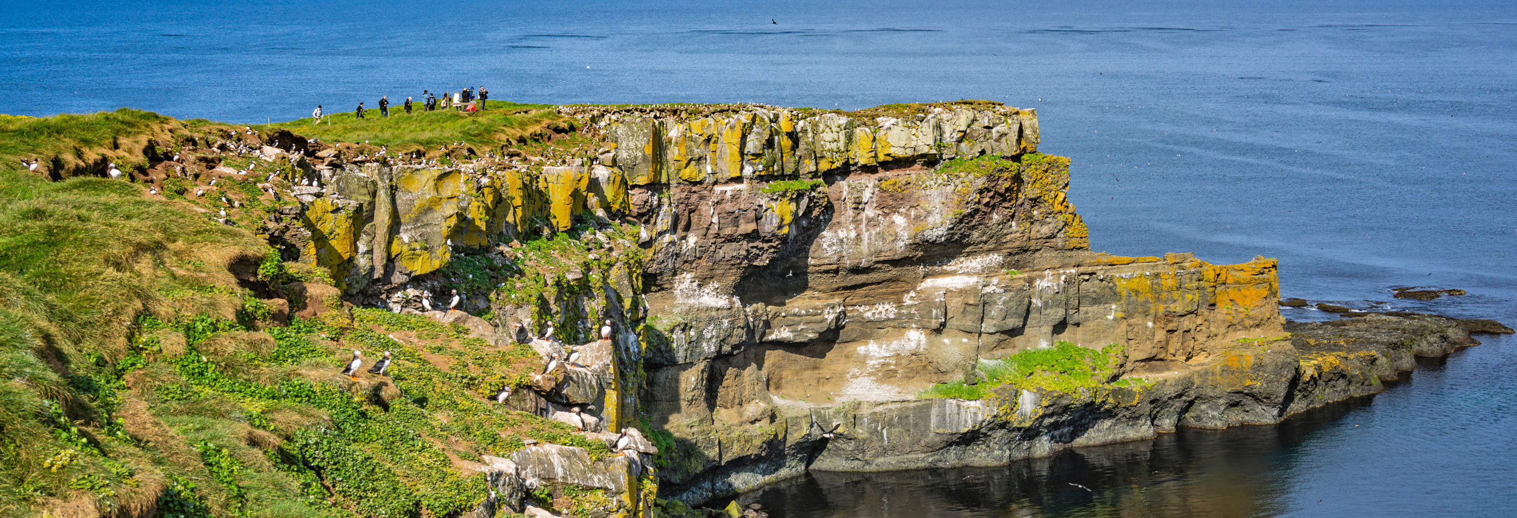 Explore Grimsey Island’s cliff tops