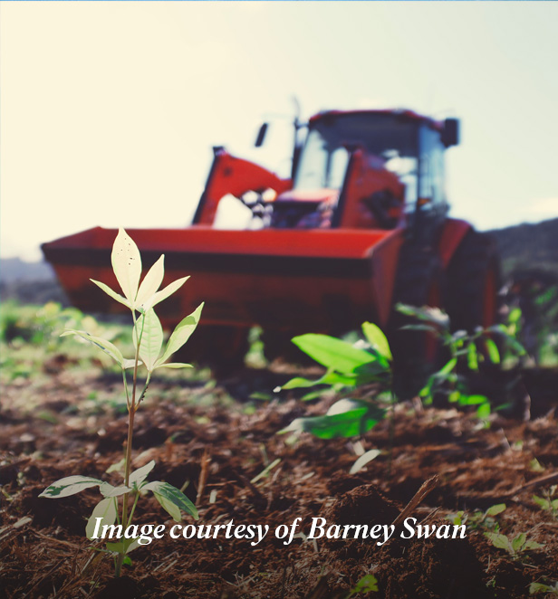 Tractor and leaves