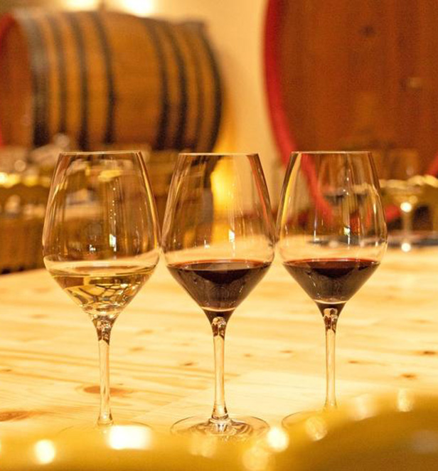 Bordeaux wine and Châteauneuf-du-Pape